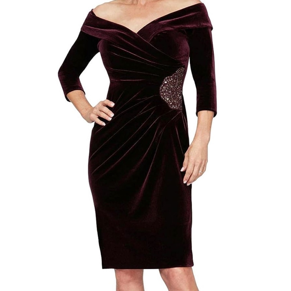 Alex Evenings Velvet Dress, Sz 16